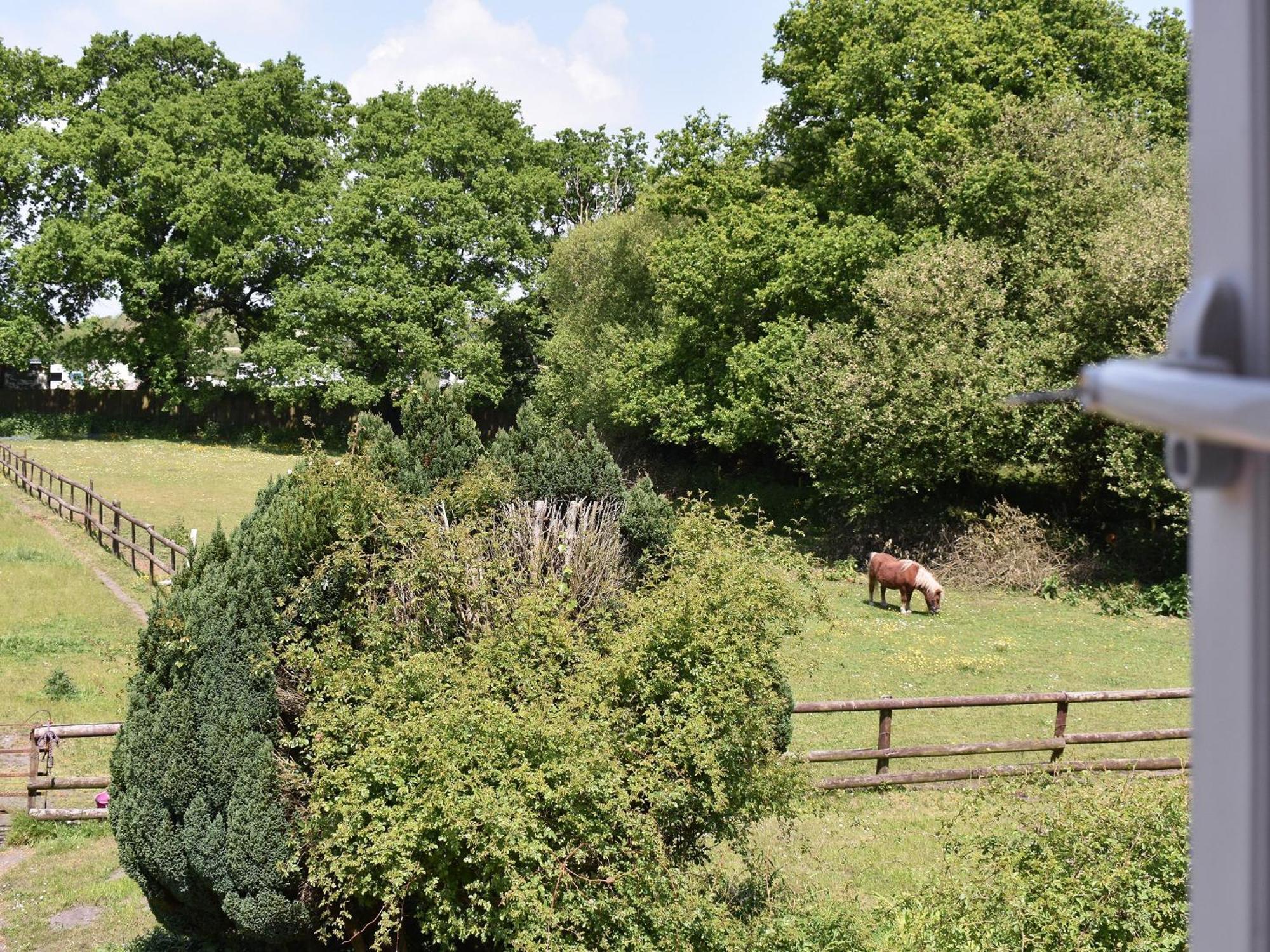 Oakdene Lodge Saint Leonards Eksteriør bilde